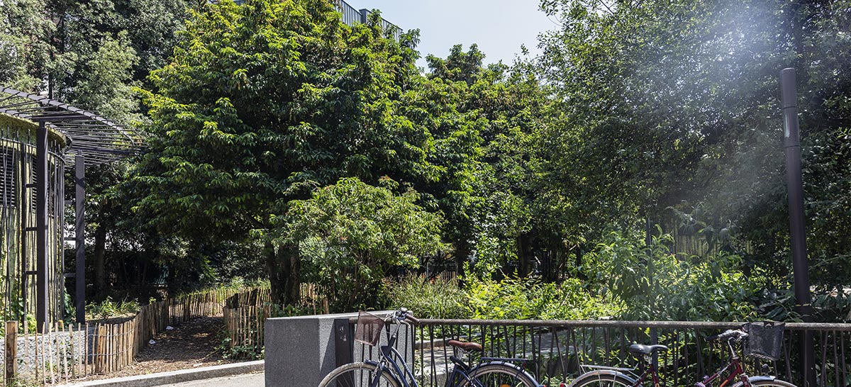 Espaces Verts avec des arbres et des vélos 