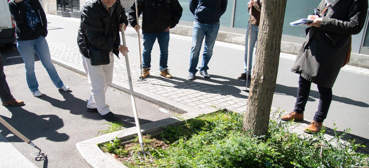 Employés qui font des expérimentations au pied d'un arbre planté en ville.