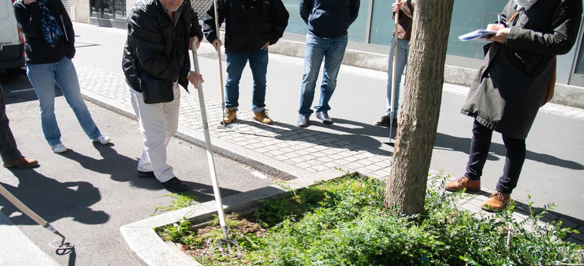 Employés qui font des expérimentations au pied d'un arbre planté en ville. 