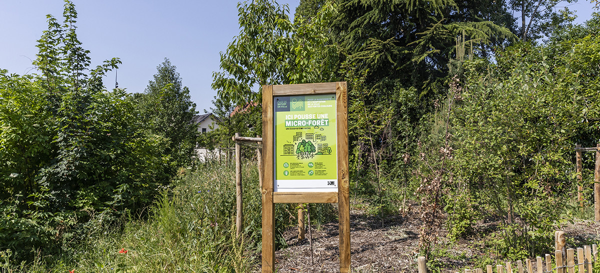 Micro-forêt à Pierrefitte